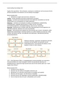 Samenvatting SCO Operations and Supply Chain Management, ISBN: 9781260547627  Supply Chain Operations (EBP029A05)