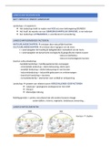 VOLLEDIGE samenvatting WER: gedeelte aardrijkskunde