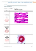 BIO 202 Week 2 Cardiovascular System Lab Report