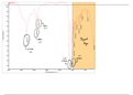 Synthesis of Nylon-6,6+ Detailed Discussion