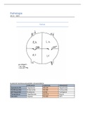 Pathologie VMV3