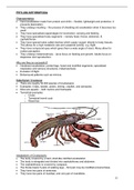 Introduction to Arthropods