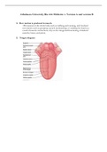 Athabasca University Bio 235 Midterm 1- Version A and Version B