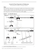 AP BIOLOGY Control of Gene Expression in Prokaryotes