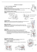 Skills praktijktoets Anatomie in Vivo Leerjaar 1