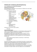 Samenvatting  Ziektekunde gehandicaptenzorg leerjaar 3