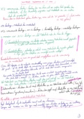Samenvatting Pabo - kennis tweedetaalverwerving - handgeschreven in kleur