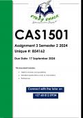 CAS1501 Assignment 3 (QUALITY ANSWERS) Semester 2 2024