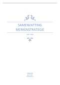 Samenvatting merkenstrategie (Fons Van Dyck)