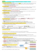 San Jose State University BUS 123ANotes for Midterm 3 (updated Nov 16).