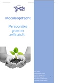 Moduleopdracht persoonlijke groei en zelfinzicht, CIJFER 10!! Incl feedback