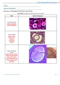 BIOL 223-LBIO202_Week6_ReproductiveSystemLabReport  verified 100%     