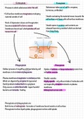 Summary- cell physiology  for CCEA AS Level, ISBN: 9781780730998  Unit AS 1 - Molecules and Cells 