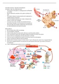 Haemolytic anaemias