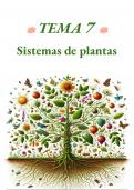 Tema 7: Sistemas de las plantas