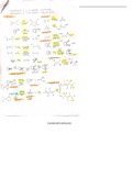 Class notes Organic Chemistry (CHEM205) 