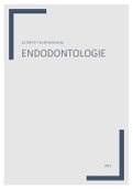 Uitgebreide Samenvatting Endodontologie Tandheelkunde 3e bach KUL: NIEUW S. Pedano