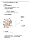 Samenvatting Fysiologie, Zorg En Begeleiding Hoofdstuk 7 Celleer