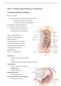 Samenvatting Anatomie En Fysiologie Gezonde Mens Hoofdstuk 4 Voeding