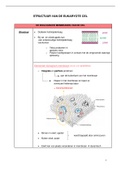 samenvatting  menselijke biologie en celbiologie