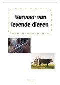 ITLB - Vervoer van levende dieren