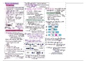 Samenvatting menselijke genetica 