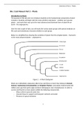 Exam (elaborations) BIOLOGY 1307  Lab Assignment #6 - Seedless Nonvascular Plants