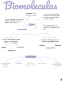 Biomoleculas Lípidos. Biología selectividad/bachillerato 