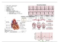 EXIT N493 - Quiz 3 Study Guide.