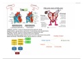 EXIT N493 - Quiz 1 _part 2 Study Guide.