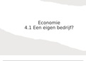 Samenvatting hoofdstuk 4 economie vwo 3 (pincode)