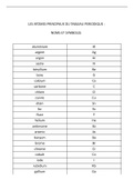 Les atomes principaux du tableau périodique : noms et symboles 
