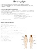 Fibromyalgia Cheat Sheet for Nursing