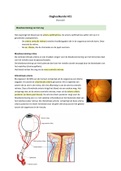 Samenvatting Optometrie Oogheelkunde Jaar 2 Blok C - Vasculair