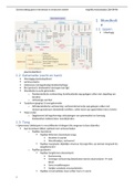 Volledige samenvatting  Gastro-intestinaal en endocrien stelsel