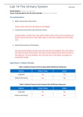 BIO 202L Lab 14 Worksheet - The Urinary System