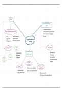 mindmap-  office management 