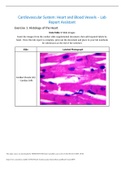 University of Arkansas BIOL 2441L Lab7-Cardiovascular System-Heart&Blood Vessels RPT