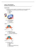 Optometrie Leerjaar 1, Blok B - HC2 Medisch Embryogenese oog