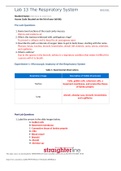 Straighterline BIOL 202L Lab 13 Worksheet- The Respiratory System