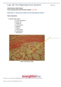 Straighterline BIOL 202L Lab 18 Worksheet- Lab 18 The Reproductive System