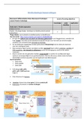 Uitgebreid Eiwittechnologie Samenvatting + fotos + youtube links+ in het ENG/NLD