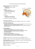 Slik- en verworven neurogene spraak- en taalstoornissen, logopedie jaar 2