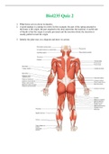 Biol 235 Quiz 2 (RATED A) Questions and Answer solutions | 100% out of 100% | Athabasca University