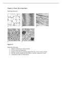 TEST BANK Chapter 4: Tissue: The Living Fabric>BIOL 2401A&P I-Chapter 4 Test Bank