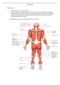 Exam (elaborations) Biol 235 Quiz 2 (RATED A) Questions and Answer solutions | 100% out of 100% | Athabasca University Biol235 Quiz 2 1. What forces act on a lever in muscles 2. A good analogy is a spring on a door. In this example, the part of the spring