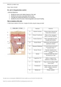 Exam (elaborations) BIOS 251 (BIOS251) BIOS 251 Week 5 Lab-Integumentary System