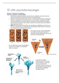 Volledige samenvatting psychofarmacologie VRHV3 (leerpad A)