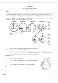 AP BIOLOGY MITOSIS POGIL