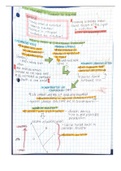 1/20 Lecture Evidence for Evolution ECOL182R